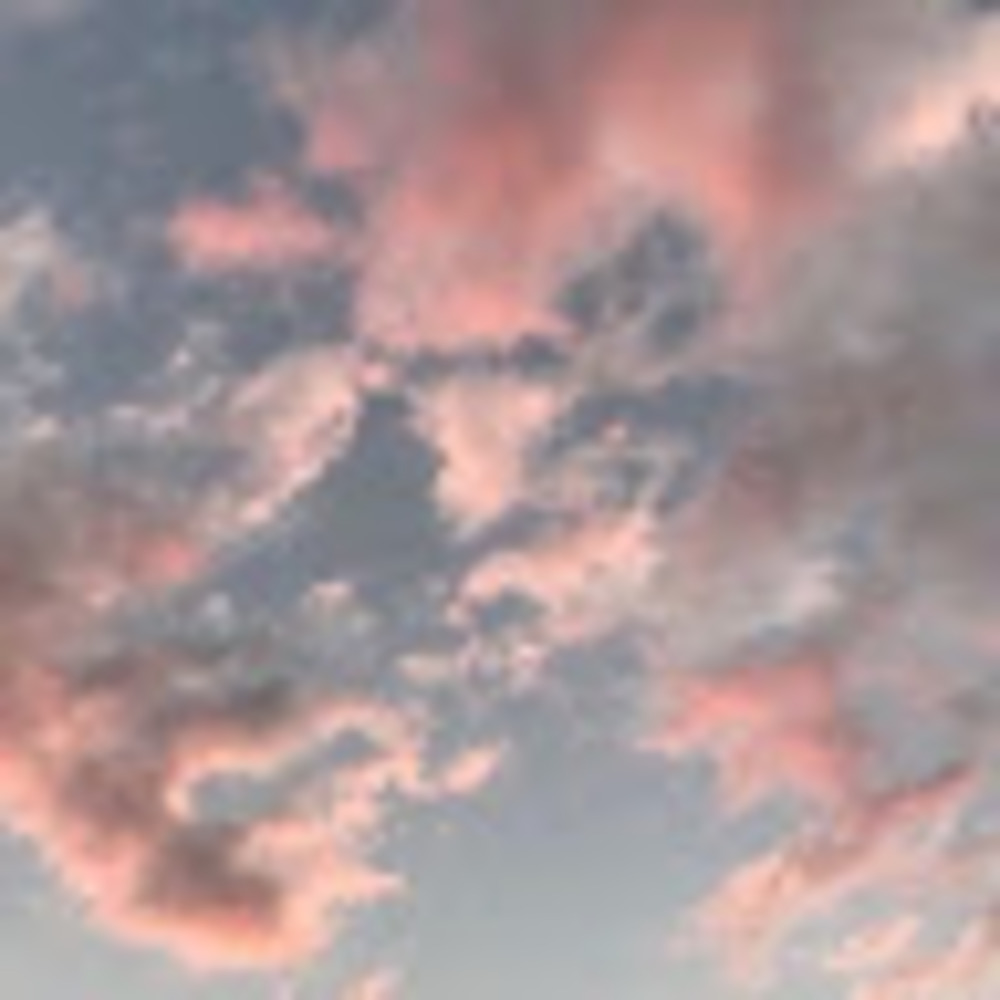 Meet your Posher, Saoirse